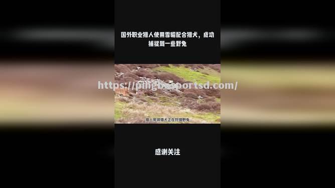 阿尔巴尼亚队遭遇梗阻，底特律猎犬队大胜