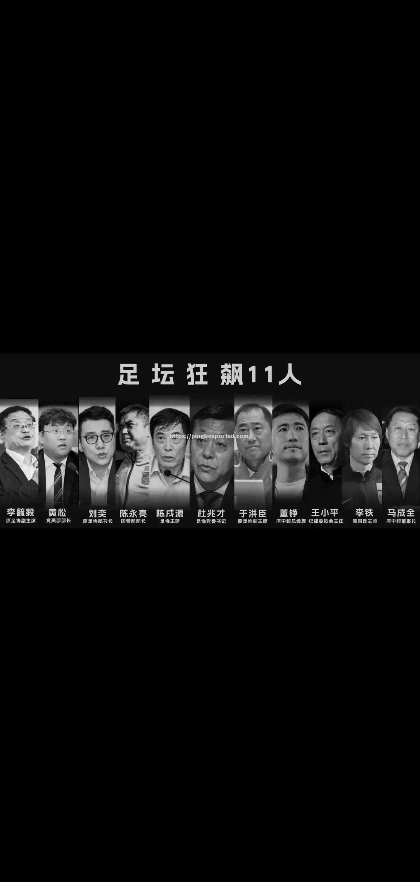 南美洲国内联赛精彩对决，球迷欢呼雀跃